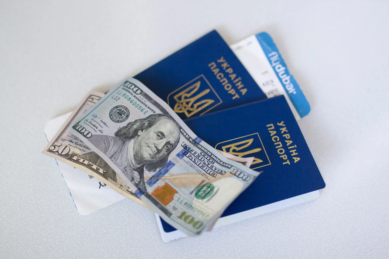 How to Check and Pay UAE Overstay Fines Online (2026)