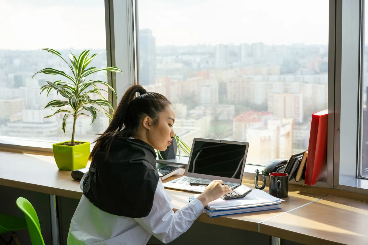 Freelance Visa
